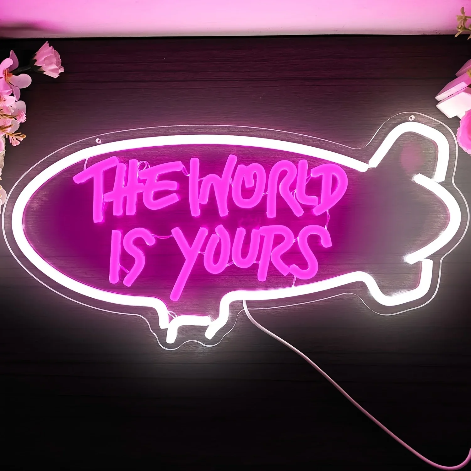 Outdoor Lighting For Your Home - The World Is Yours Blimp Neon