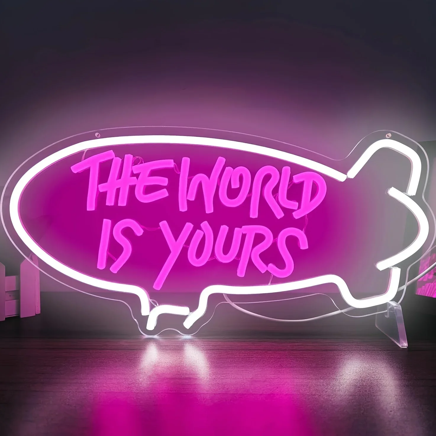 The World Is Yours Blimp Neon  - Outdoor Lighting For Your Home recension och pris